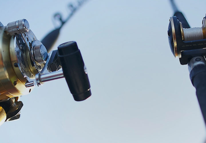 multi_asset_blog11_1280x500pxf-mobile